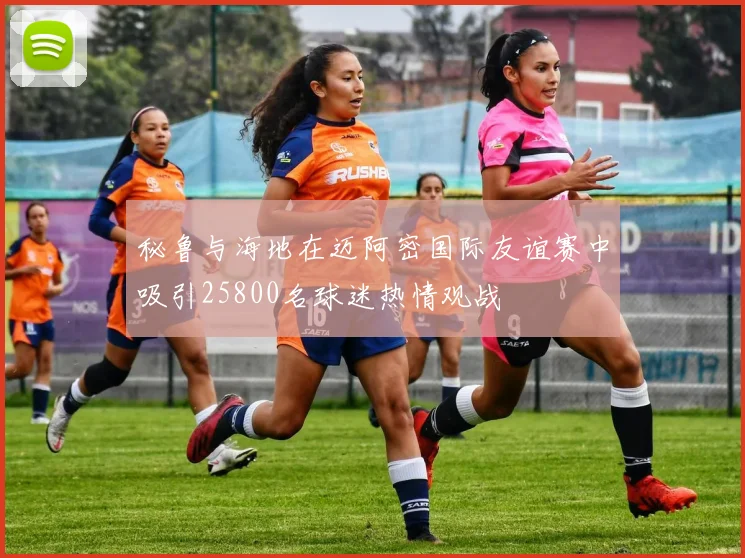 秘鲁与海地在迈阿密国际友谊赛中吸引25800名球迷热情观战